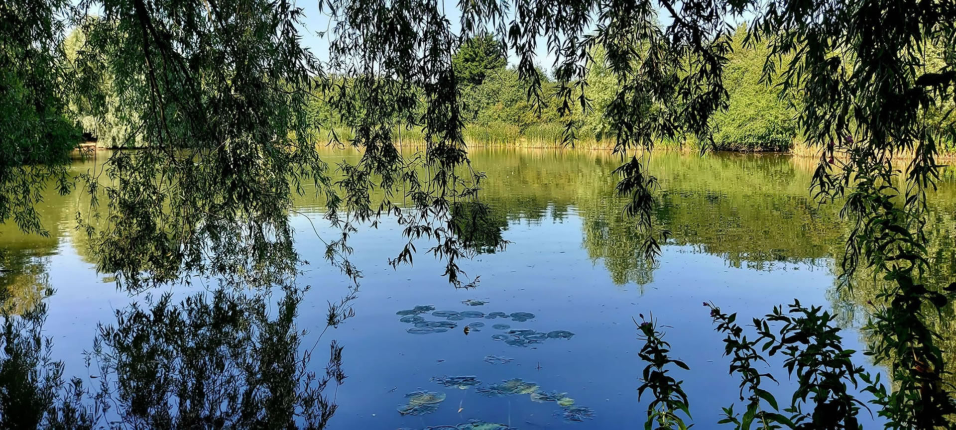 Angle for the Community